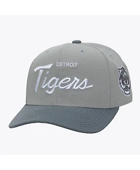 Mitchell & Ness Men's Gray Detroit Tigers Thunderstorm Head Coach Pro-Crown Adjustable Hat