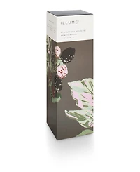 Illume Blackberry Absinthe Fragrance Diffuser, 3 oz.