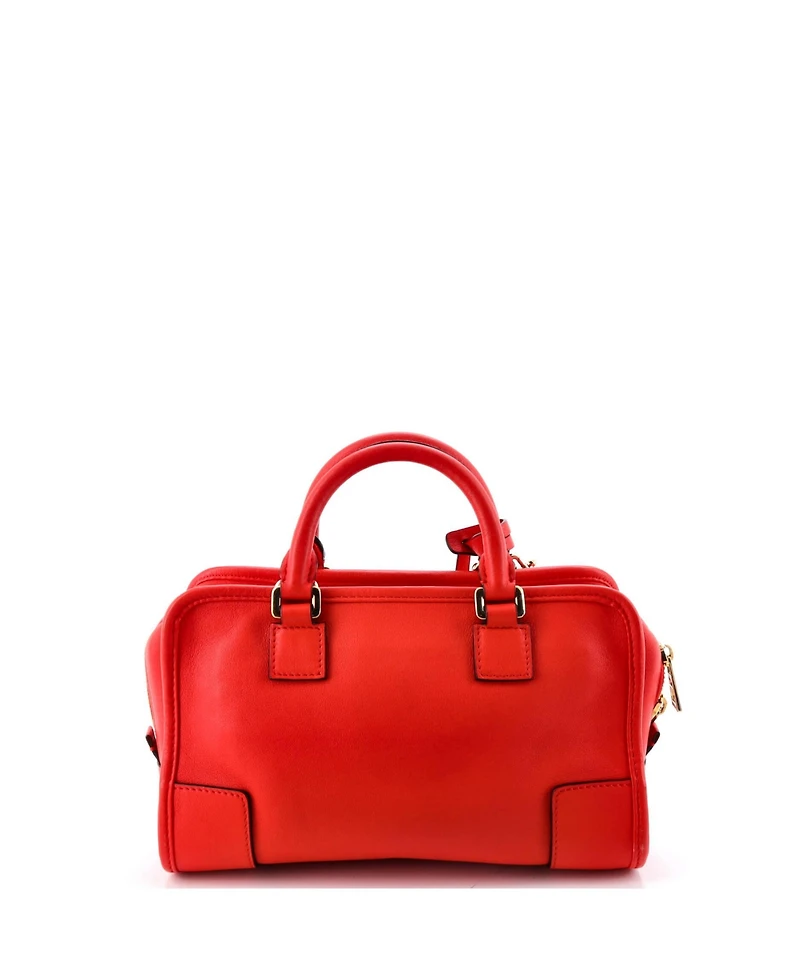 Pre-Owned Loewe 23 Amazona Nm Bag Leather