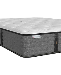 Paramount Hd Landon 12" Medium Firm Tight Top Mattress Set