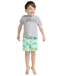 Hurley Boys' Toddler 2T-5T Parrot-Dise Swim T-Shirt and Shorts, 2-Piece Set