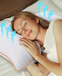 Cheer Collection Feather Down Filled Pillow, King