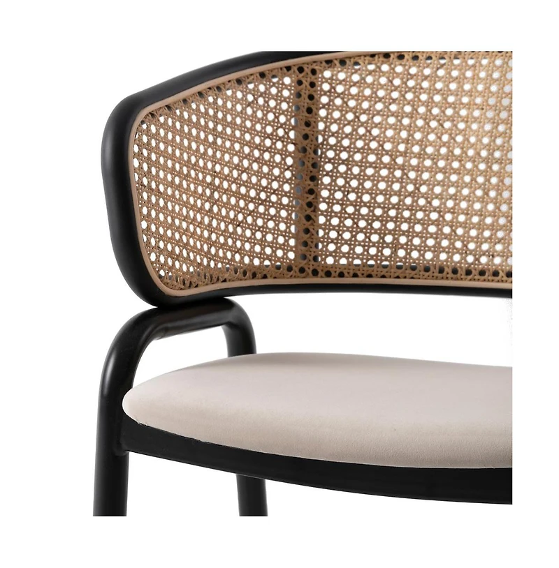 LeisureMod Dining Chair With Stainless Steel Legs Velvet Seat and Wicker Back