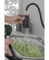 Busdays Kitchen Faucet with Pull-Down Sprayer, Single-Handle Stainless Steel Pull Out Kitchen Faucet, 2-in-1 Spray Head