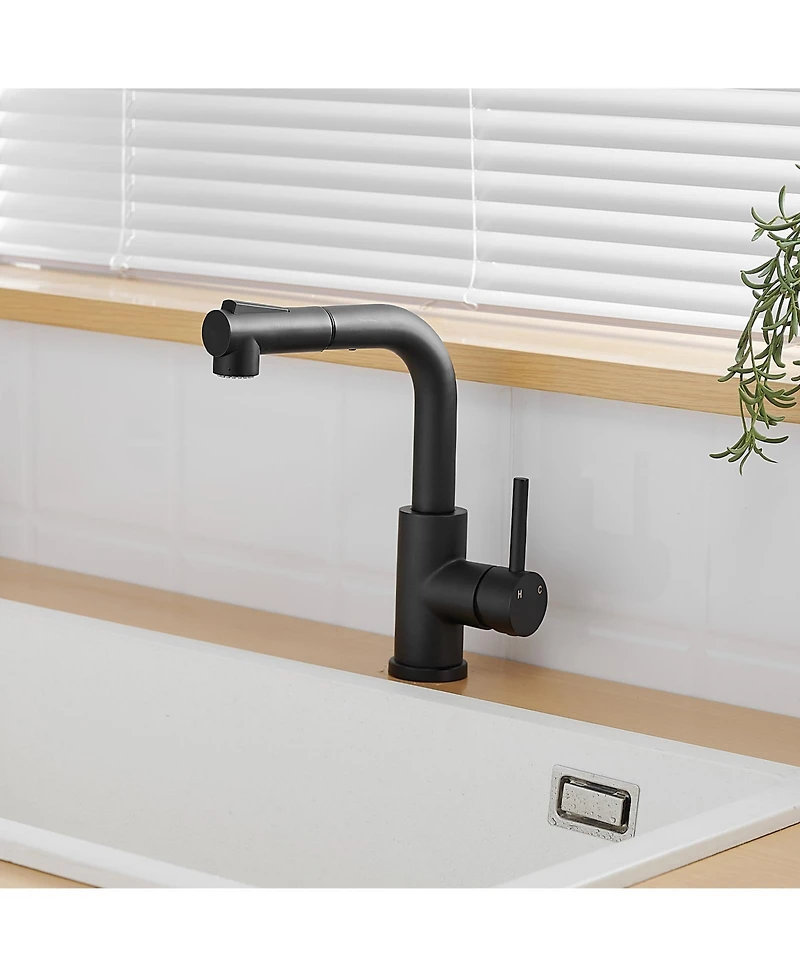 Busdays Sink Faucet, Black Kitchen Faucets with Pull out Sprayer, Bathroom Sink Faucets Mini Bar Prep Faucet