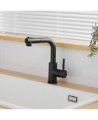 Busdays Sink Faucet, Black Kitchen Faucets with Pull out Sprayer, Bathroom Sink Faucets Mini Bar Prep Faucet