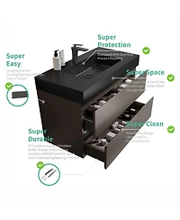 Sillysis Luxury Wall Mounted Bathroom Vanity with Sink, Modern Floating Double Drawer Storage, Matte Basin, Pre-assembled