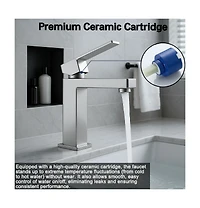 Busdays Single Handle Bathroom Faucet Lavatory Faucet Stainless Steel Single Hole-T20, Brushed Nickel