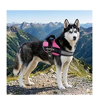 ProMounts Side Ring No Pull Dog Harness