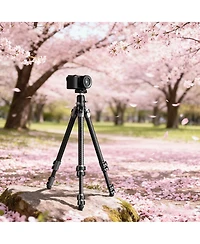 SmallRig 5-Section Carbon Fiber Portable Photo Tripod with Ball Head