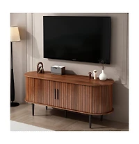 Boyel Living 47 Inches Modern Tv Stand with Sliding Door and Storage Compartment