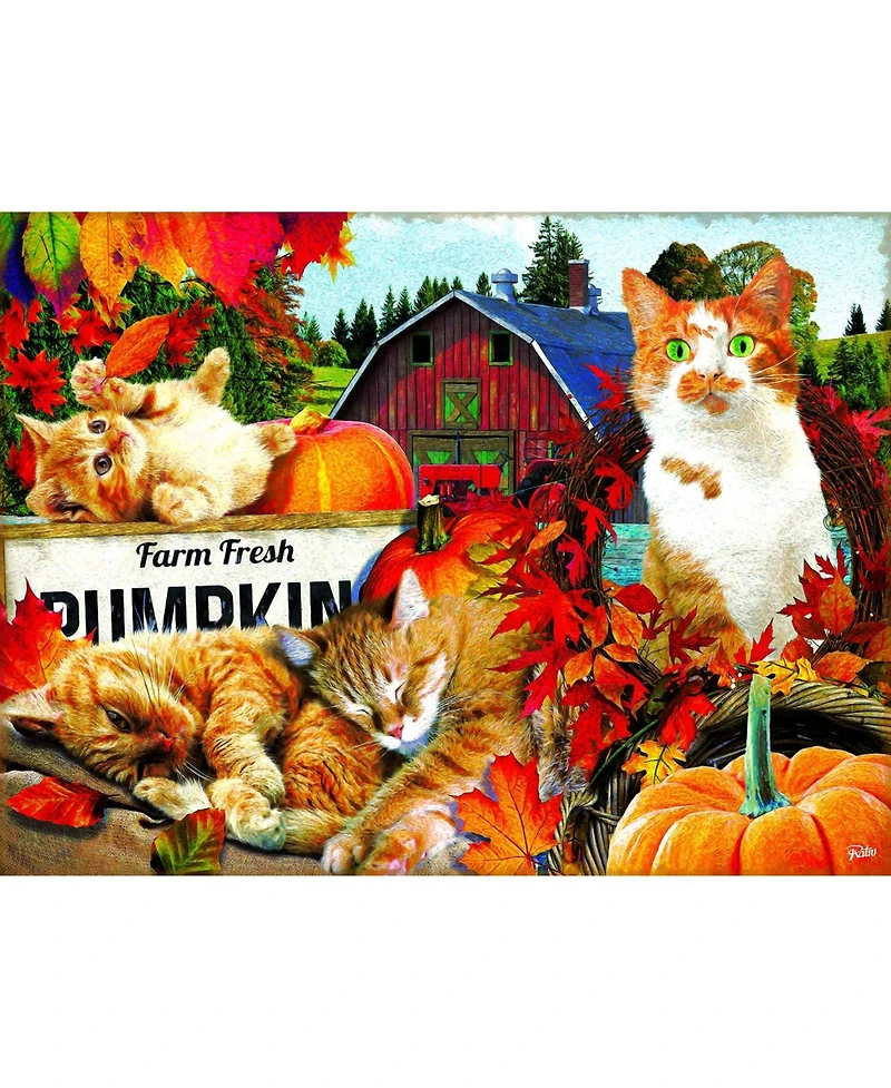 SunsOut Farm Fresh Pumpkins 300 piece Jigsaw Puzzle for Adults Halloween