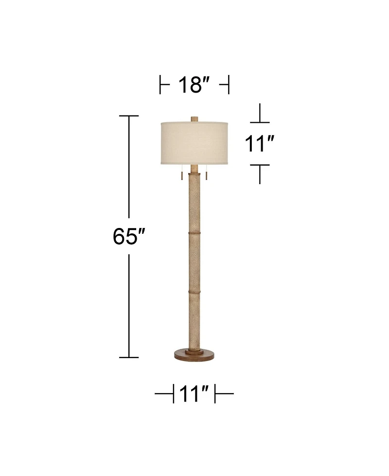 Barnes and Ivy Santiago 65" Tall Modern Country Floor Lamp with Pull Chain