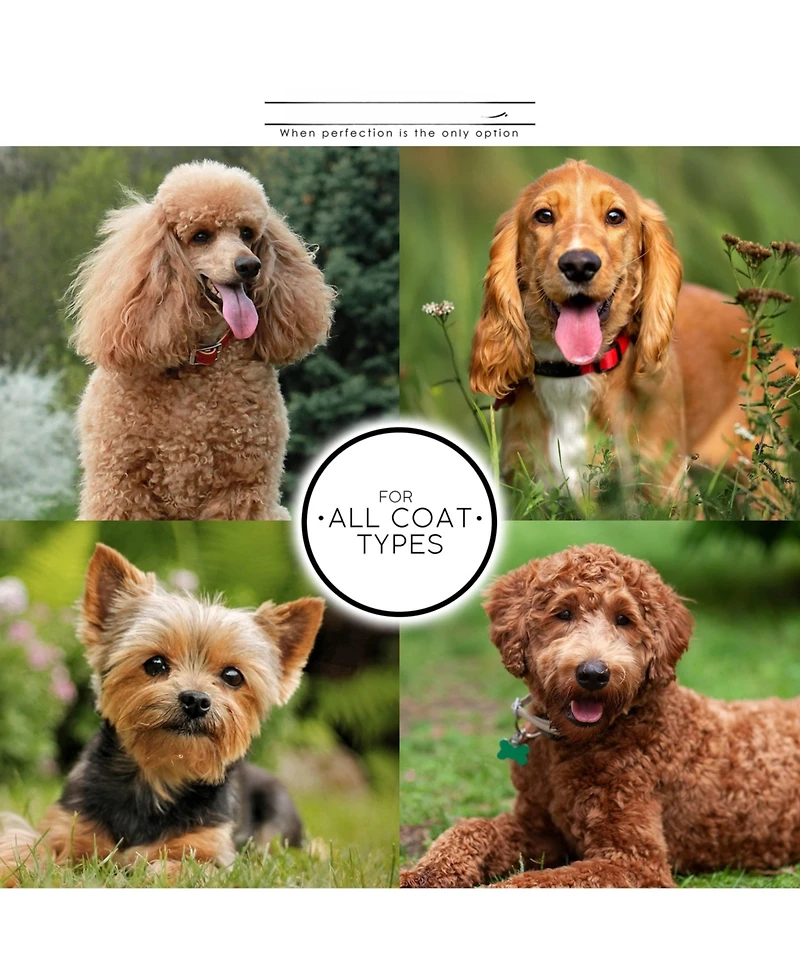 Aronkl Slicker Dog Brush Stainless Steel Pins Beechwood Handle Lightweight Groom Like Pro