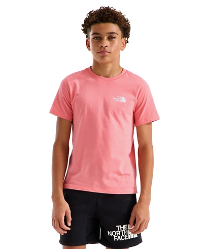 The North Face Boys' and Girls' 7-20 Evolution Box Nse Short-Sleeve Graphic T-Shirt