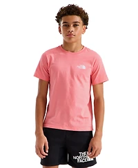 The North Face Boys' and Girls' 7-20 Evolution Box Nse Short-Sleeve Graphic T-Shirt