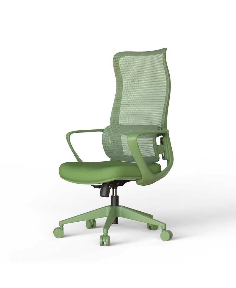 Rainsken Ergonomic Computer Chair