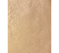 Adrianna Women's Cowl Neck Long Dress