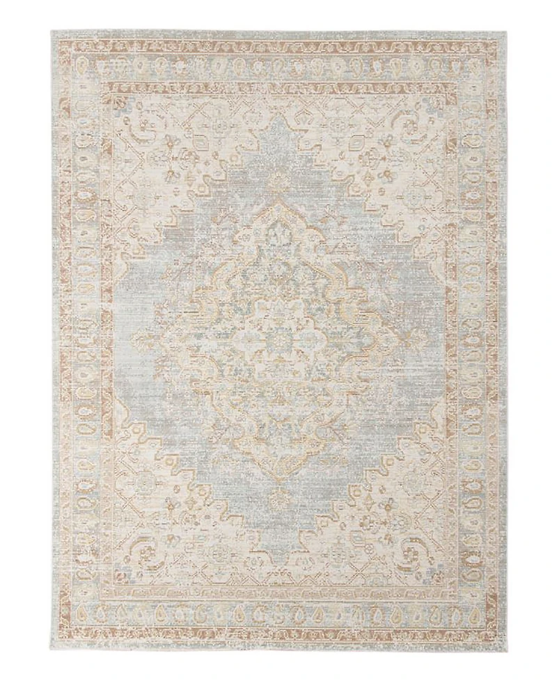 Amer Rugs Century Cen-11 Gray/Ivory 5'3" x 7'3" Area Rug