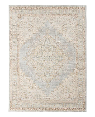 Amer Rugs Century Cen-11 Gray/Ivory 5'3" x 7'3" Area Rug