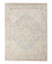 Amer Rugs Century Cen-11 Gray/Ivory 5'3" x 7'3" Area Rug