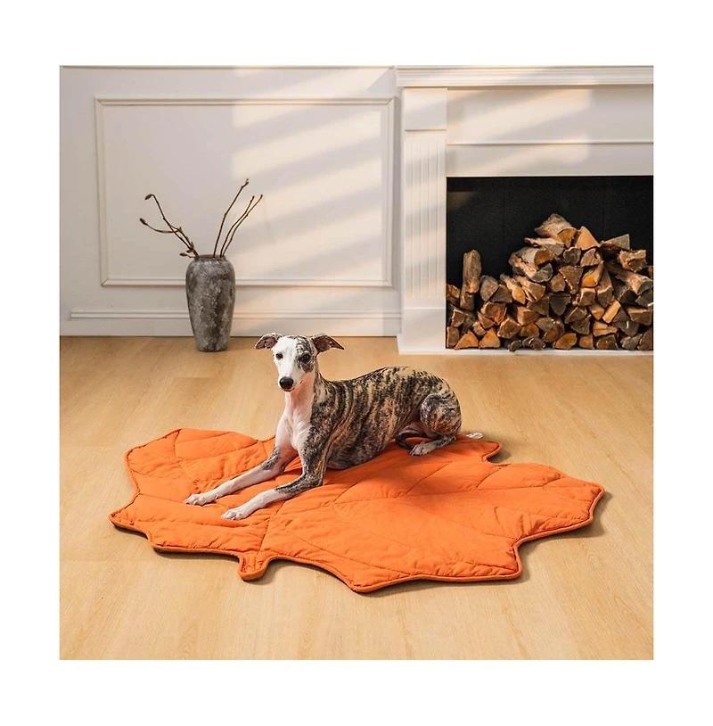 FunnyFuzzy Leaf Shape Pet Blanket