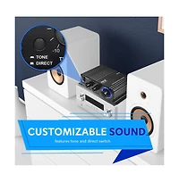 Pyle 60W Class-t Hi-Fi Audio Amplifier with Ac Adapter PFA200 - Compact Design