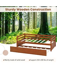 Gouun Solid Wood Twin Daybed with Trundle