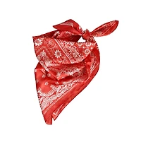 Headbands of Hope Women's Satin Paisley Headscarf