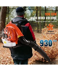 Sugift Backpack Leaf Blower, 79CC Gas, 930CFM, 184MPH Speed for Lawn and Snow Care