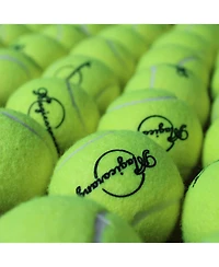 Magicorange Pack of 60 Training Tennis Balls Bulk Practice Balls with Mesh Bag All Court Durable Felt for Beginners and Pet Playing
