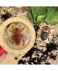 Yellow Door Sensory Play Stones: Bugs - 12 Pieces