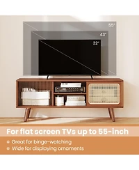 Gouun Bamboo and Rattan 47.5-Inch Sliding Door Tv Stand