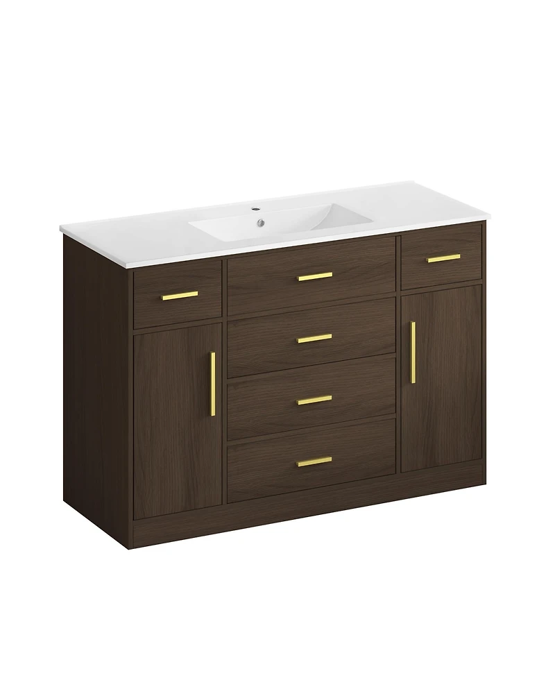 Busdays 48 Inch Bathroom Vanity Cabinet 2 Soft Close Doors 6 Drawers Spacious Storage Freestanding Design