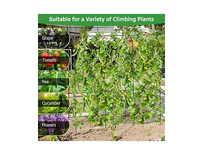 Lucky One 71 x 71 Inch U-Shaped Garden Trellis for Climbing Plants, Tall Arched Frame