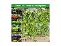 Lucky One 71 x 71 Inch U-Shaped Garden Trellis for Climbing Plants, Tall Arched Frame