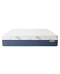 Noctua Sora 10" Hybrid Firm Tight Top Mattress