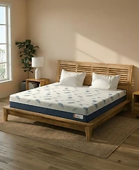 Noctua Wren 12" Zoned Hybrid Cushion Firm Tight Top Mattress