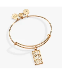 Alex and Ani You Got This Charm Bangle