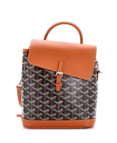 Pre-Owned Goyard Mini Alpin Backpack Coated Canvas