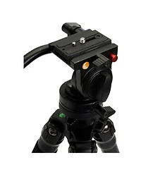 Celestron Regal Premium Tripod, 8.8lbs Capacity, 68.75" Maximum Height, Two-Way Fluid Pan Head