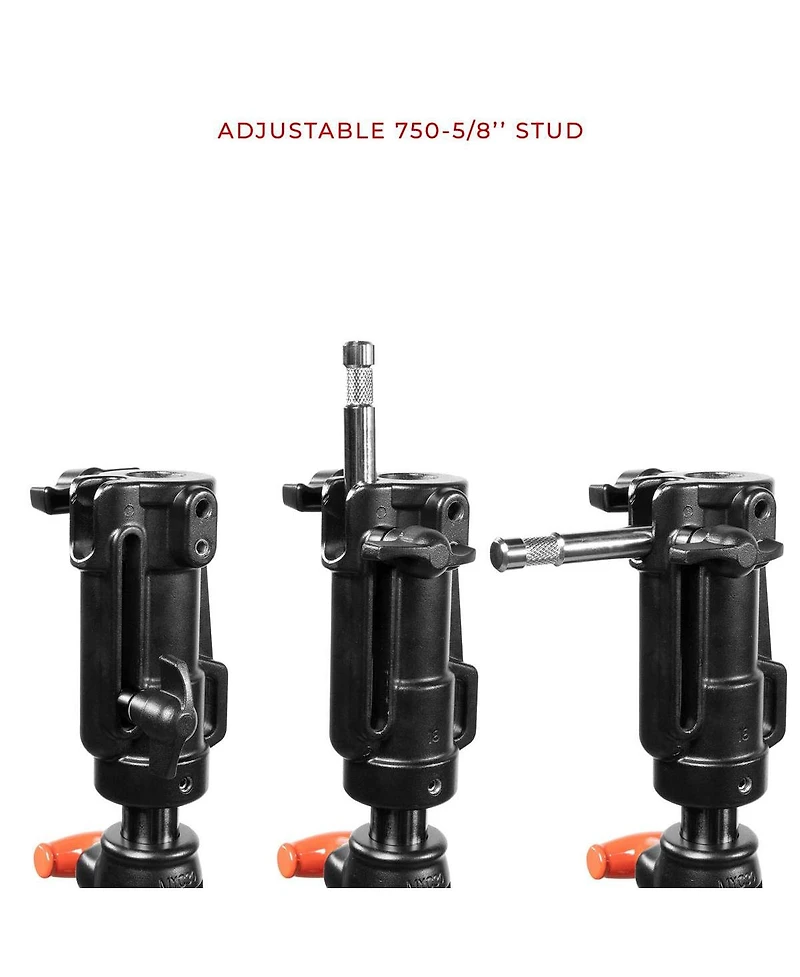 Shape 6.9' 3-Section Low Boy Double Riser Stand