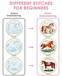Gnuadz 3 Pack Embroidery Kit Horse Stamped Patterns Hoop Tools Threads