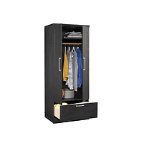 Sauder HomePlus Storage Armoire, Oak finish