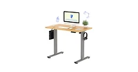 FlexiSpot E2 40" x 24" Electric Height-Adjustable Standing Desk