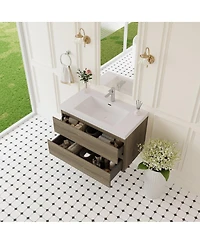 Sillysis Wall Mounted Bathroom Vanity with Resin Sink, Soft Close Drawers, Modern Storage Cabinet, Easy Installation