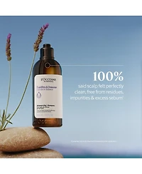 L'Occitane Gentle and Balance Shampoo 16.90 fl oz