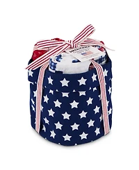 Design Imports Patriotic Dishtowel Gift Set