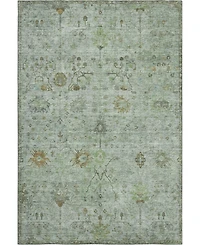 Addison Mayfield AMF1972 10'x14' Area Rug
