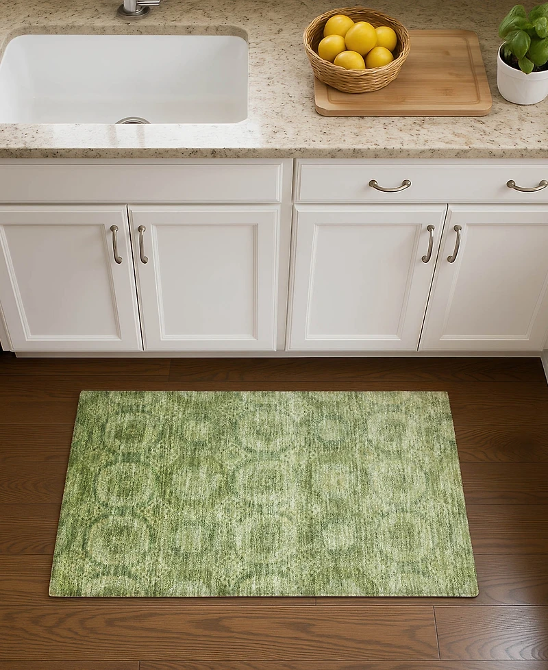 Addison Mayfield AMF1925 1'8"x2'6" Area Rug